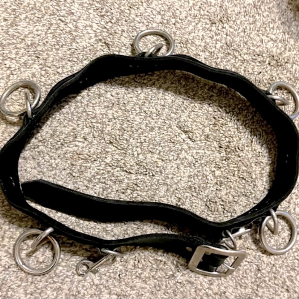 Vintage Bondage Belt black leather with rings. Punk Rock, Goth